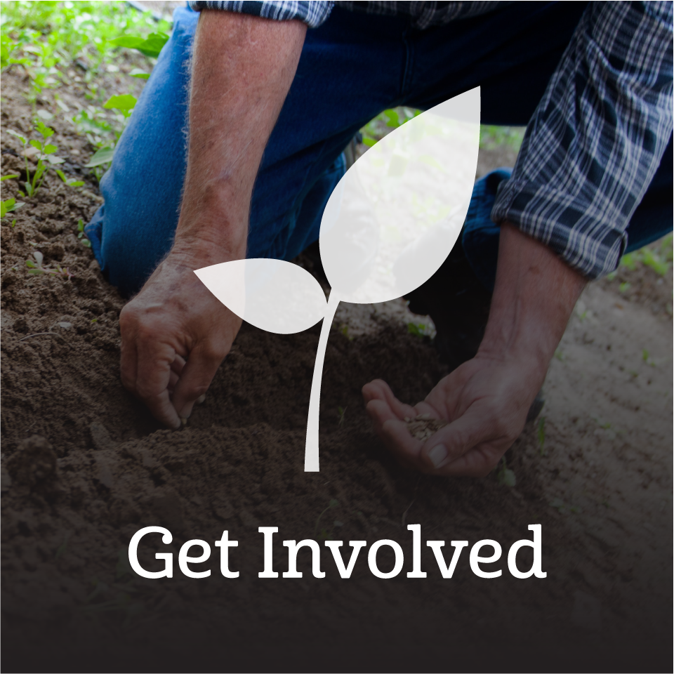 Get Involved