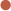fall dot